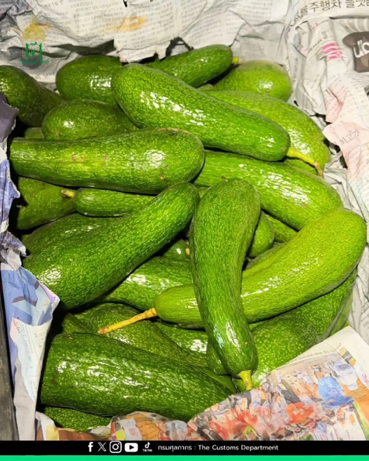ยึด "อะโวคาโดนอกเถื่อน" ล็อตมหึมา 10.5 ตัน มูลค่าทะลุ 1.2 ล้าน