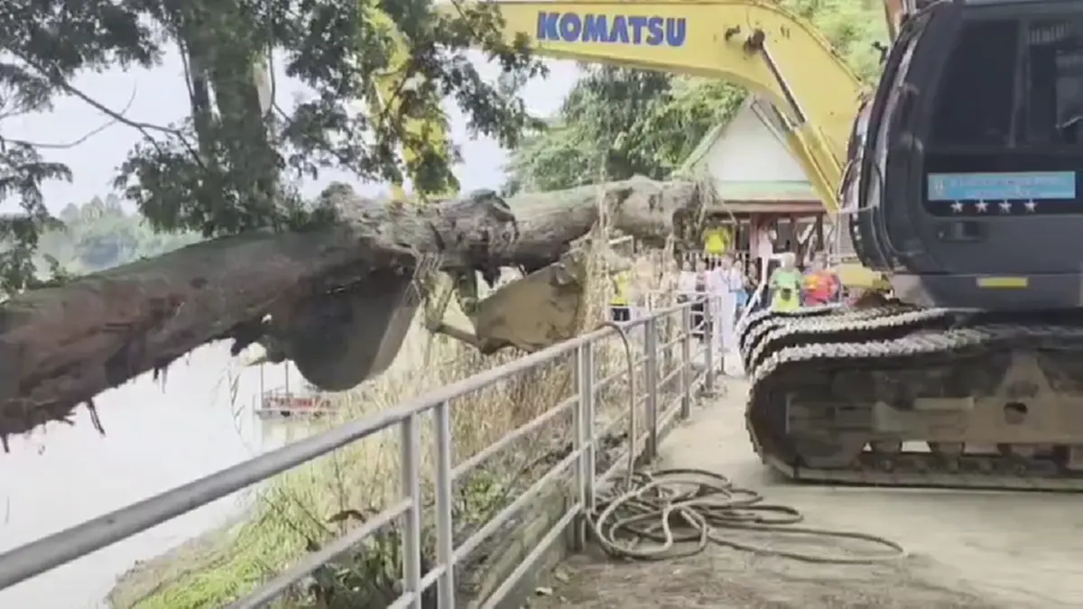 ฮือฮา! ขุดพบตะเคียน "แม่ศรีประภา" ชาวบ้านกราบไหว้ขอโชคลาภ