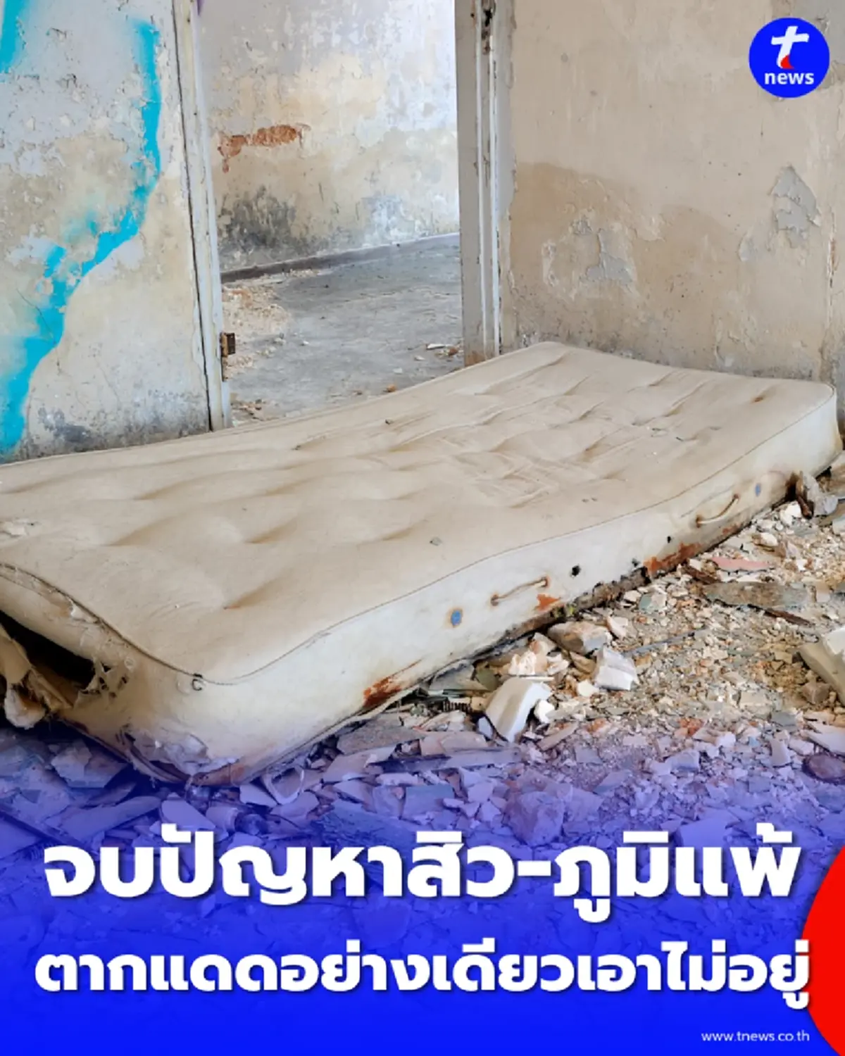 เปิดวิธีซักหมอนและตุ๊กตาซ่อนไรฝุ่น ให้กลับมานุ่มฟูเหมือนใหม่