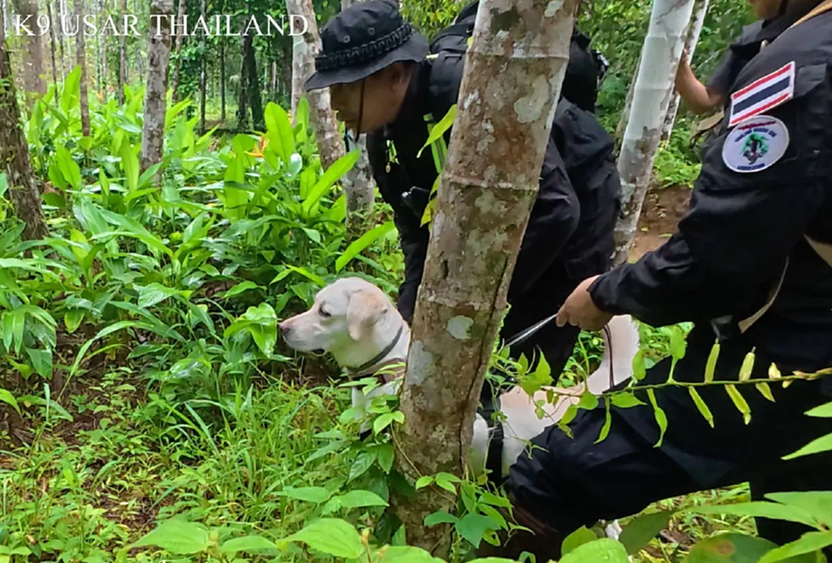 K9 สิ้นสุดภารกิจ ลุยน้ำ ลุยโคลน บุกป่า ตามหาน้องเอ้มอญที่พังงา