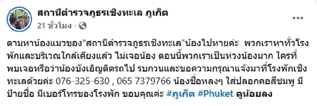 ตามหา น้องหลงหลง แมวประจำโรงพักเชิงทะเล หายตัวไป วอนแจ้งเบาะแส