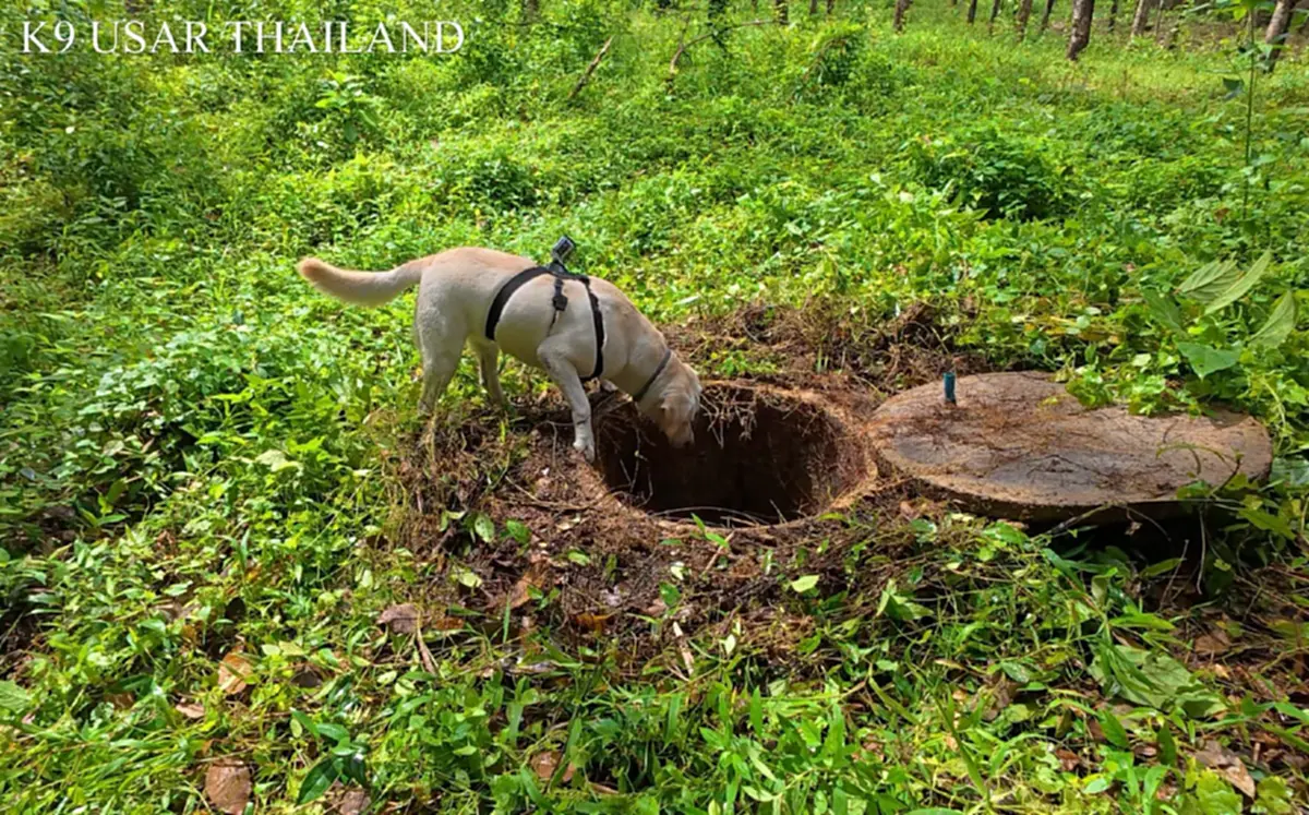 ที่มา/ภาพ Facebook : K9 USAR THAILAND