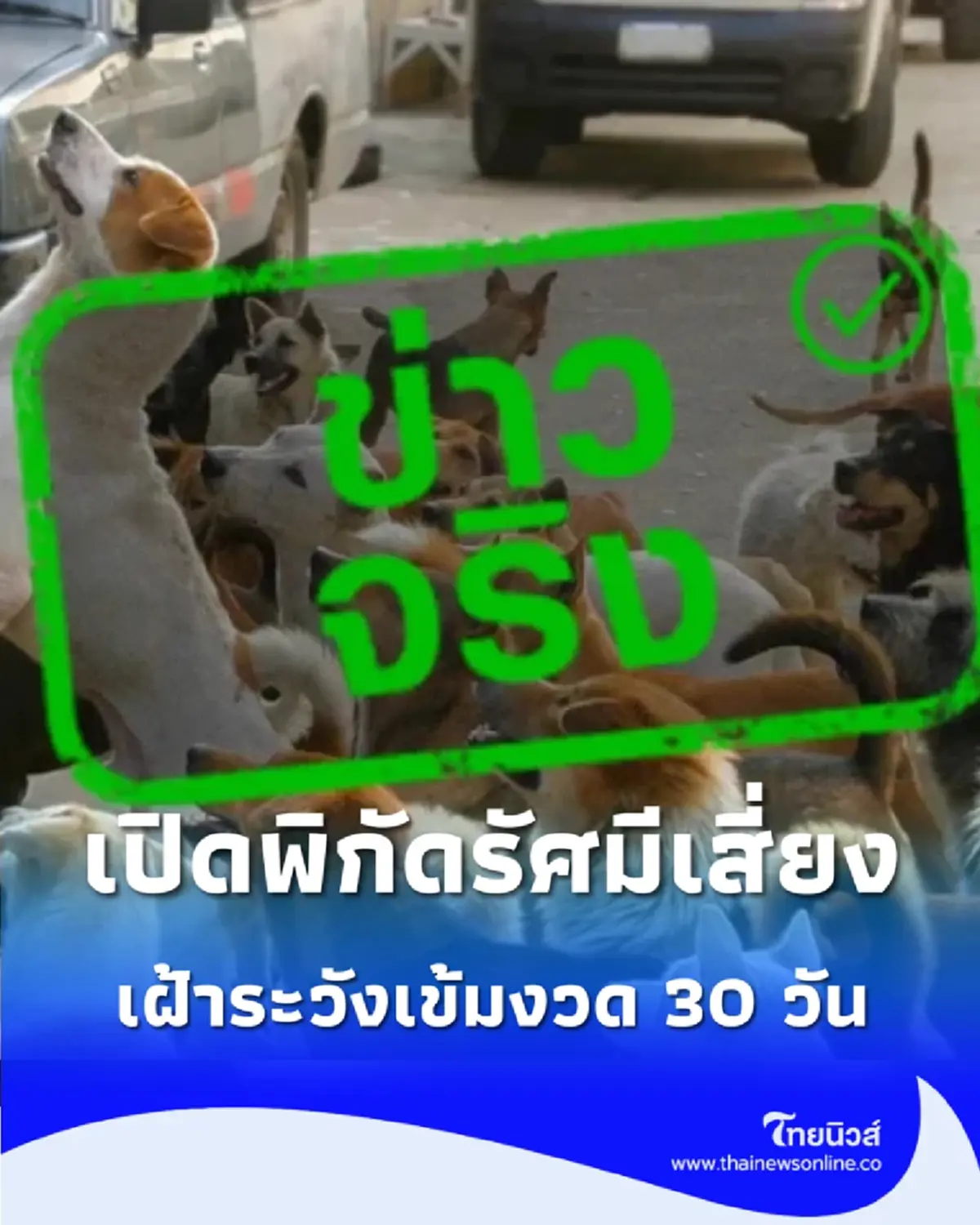 เฝ้าระวัง 30 วัน เปิดพิกัดรัศมีเสี่ยง หลังพบเคสสุนัขบ้าโผล่ในพื้นที่