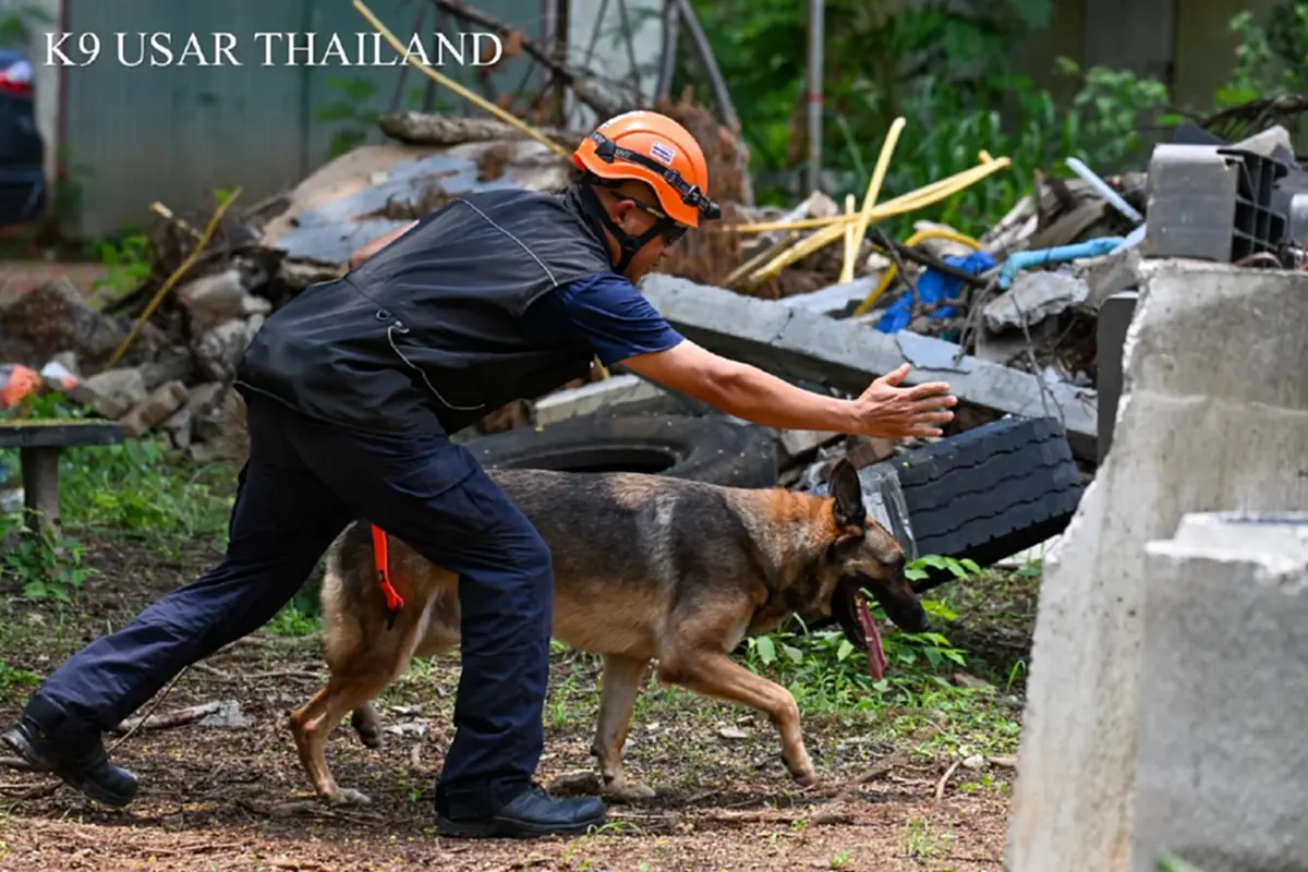 ที่มา/ภาพ Facebook : K9 USAR THAILAND