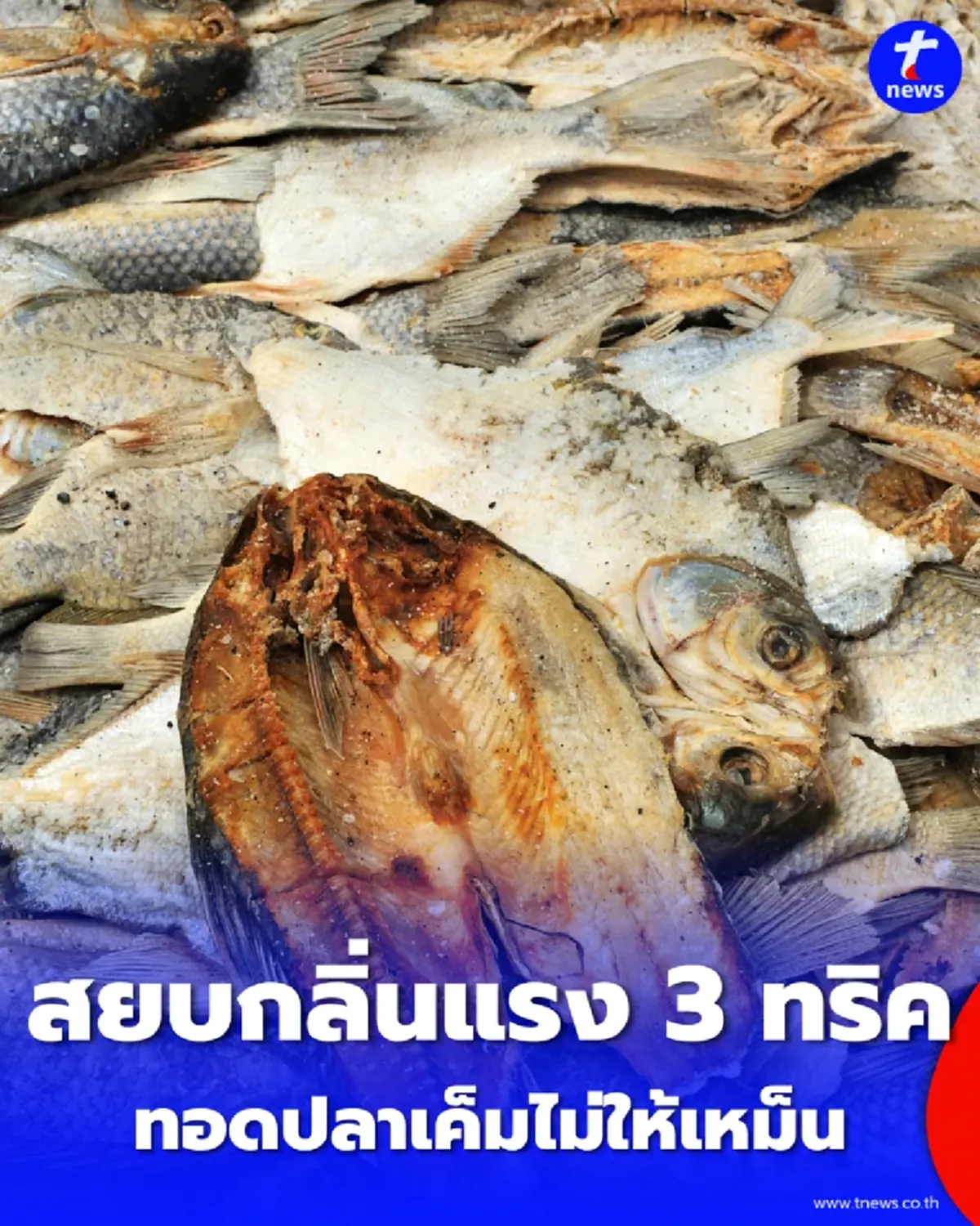 หมดปัญหาข้างบ้านบ่น 3 ทริคทอดปลาเค็ม ดับกลิ่นฉุนสนิทคากระทะ