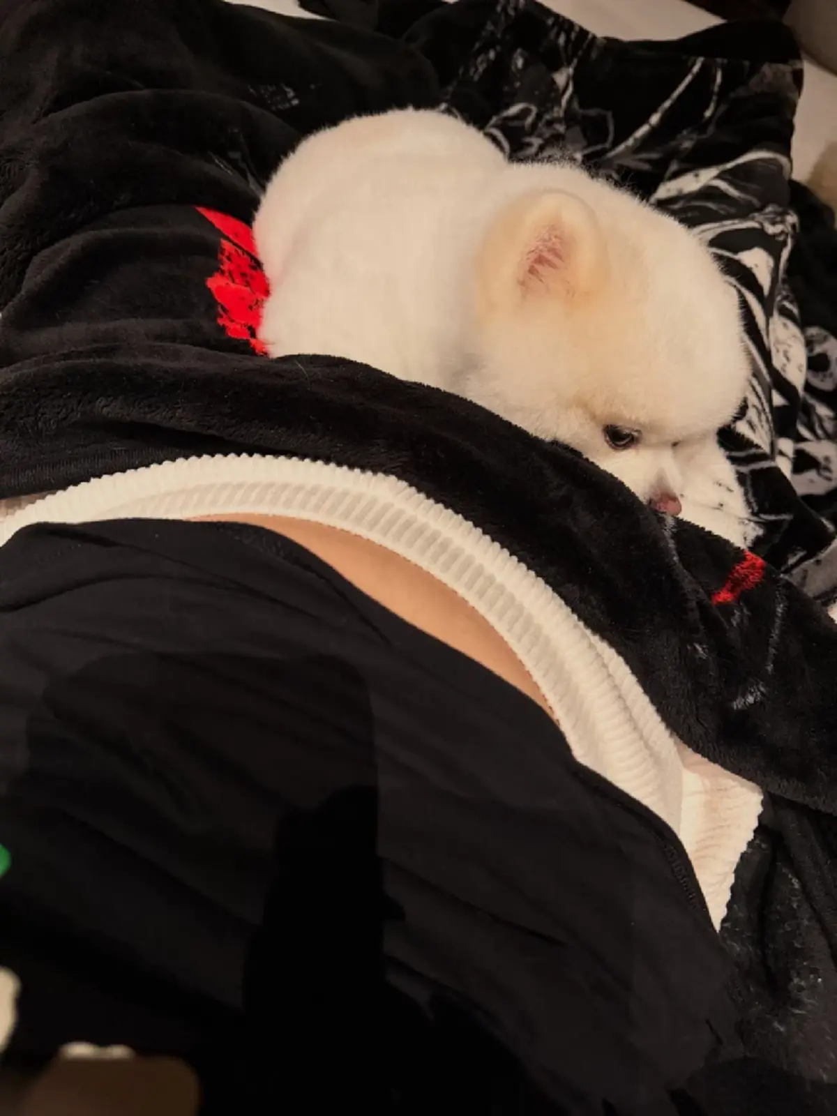 คัมแบ็กโซเชียล "มายด์ ลภัสลัล" เคลื่อนไหวล่าสุดเผยภาพลูกน้อย