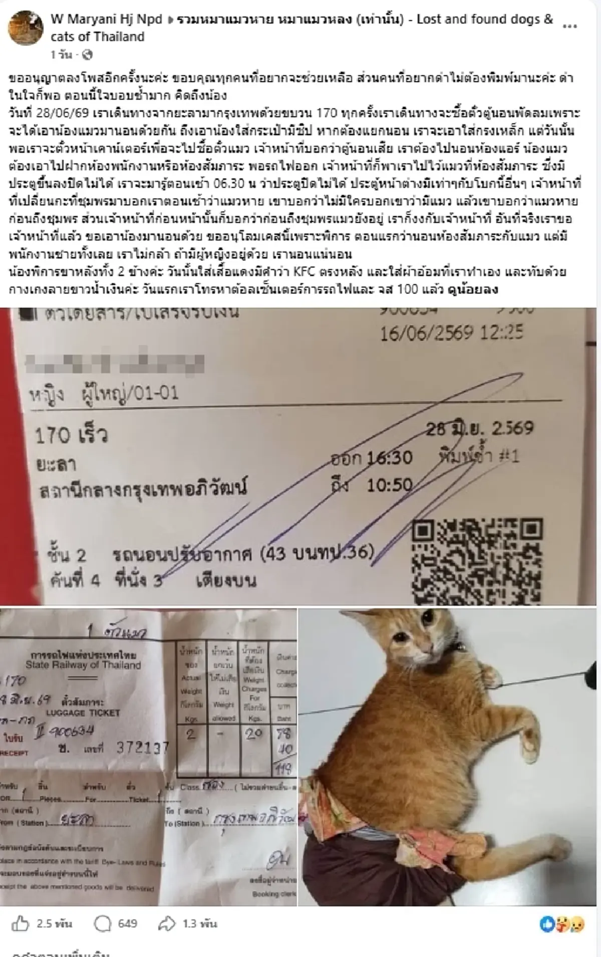 ใจแทบสลาย เจ้าของแจงความจริง ดราม่า "แมวพิการ" หายบนรถไฟ
