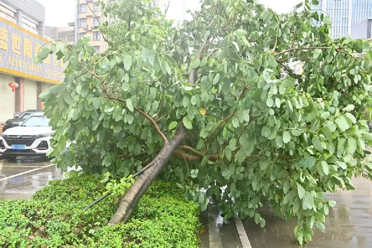 ที่มา/ภาพ : สำนักข่าวซินหัว