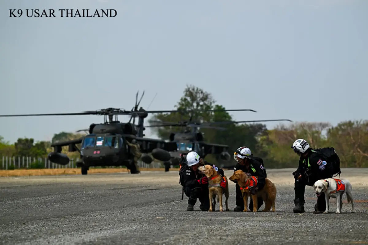 ที่มา/ภาพ Facebook : K9 USAR THAILAND