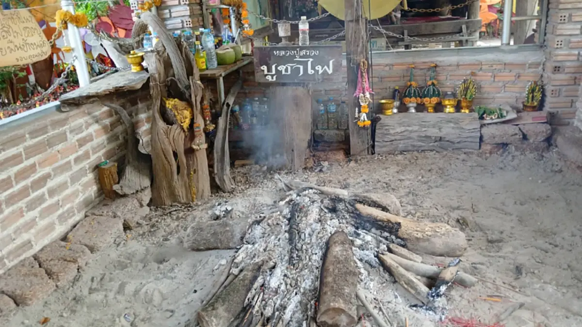 ฮือฮา! พญาบึ้งโผล่กระท่อมละสังขาร "หลวงปู่สรวง" แห่ส่องเลข