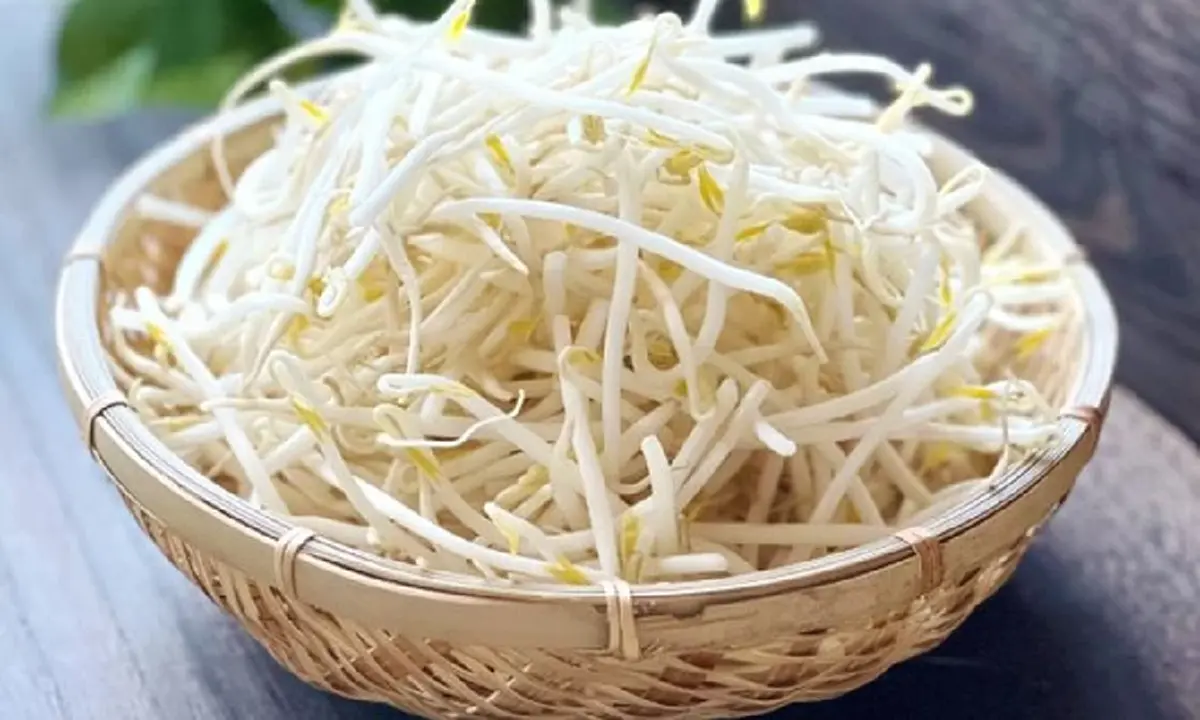 เปิดเหตุผลทำไม "ถั่วงอกดิบ" ถึงเสี่ยงอันตรายกว่าที่คิด