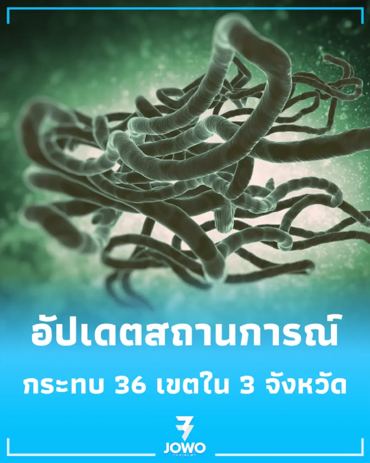 สถานการณ์ล่าสุด ยอดผู้เสียชีวิต อีโบลา ในดีอาร์คองโก ทะลุ 500 ราย