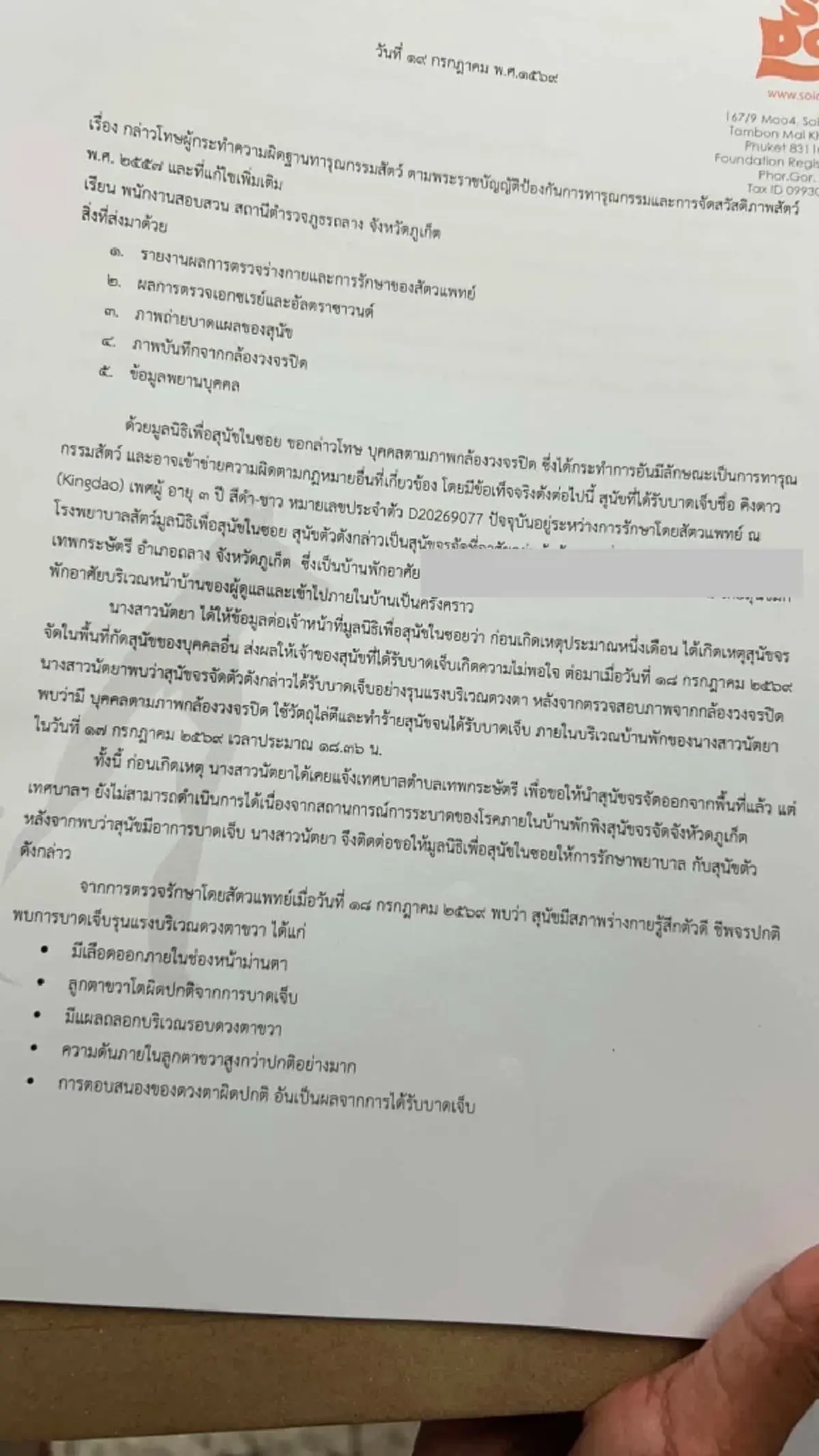 อัปเดต! อาการหมาจร ถูกคู่รักชายหญิงเปิดรั้วบุกบ้านทำร้าย
