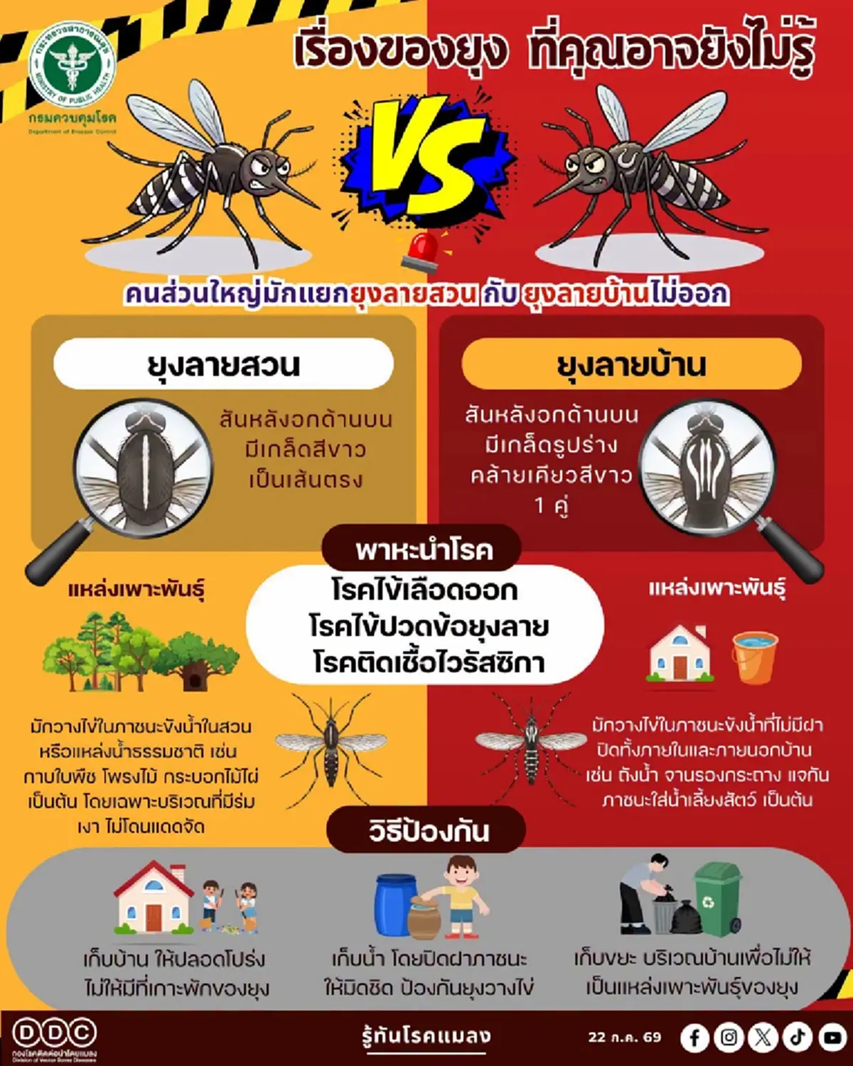 ถึงบางอ้อแล้วจ้า "ยุงลายสวน กับ ยุงลายบ้าน" มันต่างกันยังไง