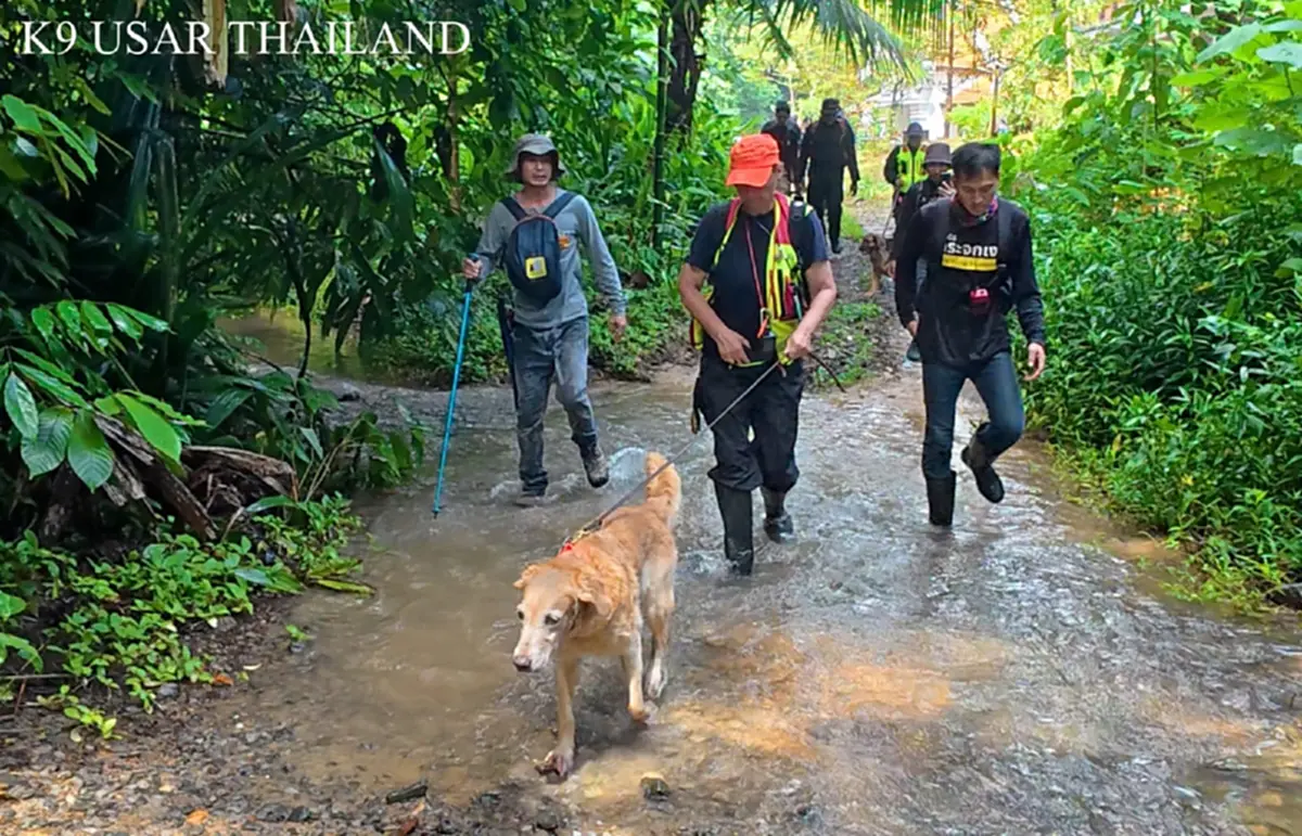 ที่มา/ภาพ Facebook : K9 USAR THAILAND
