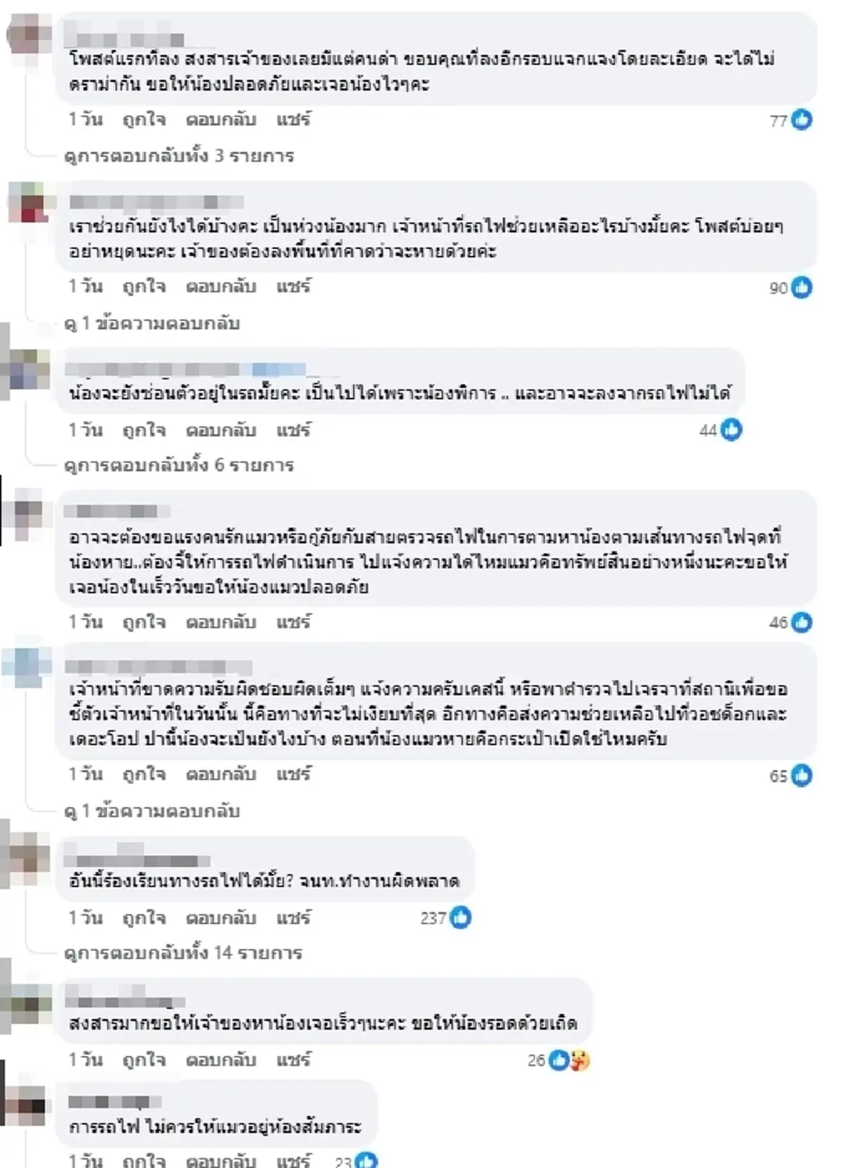 ใจแทบสลาย เจ้าของแจงความจริง ดราม่า "แมวพิการ" หายบนรถไฟ