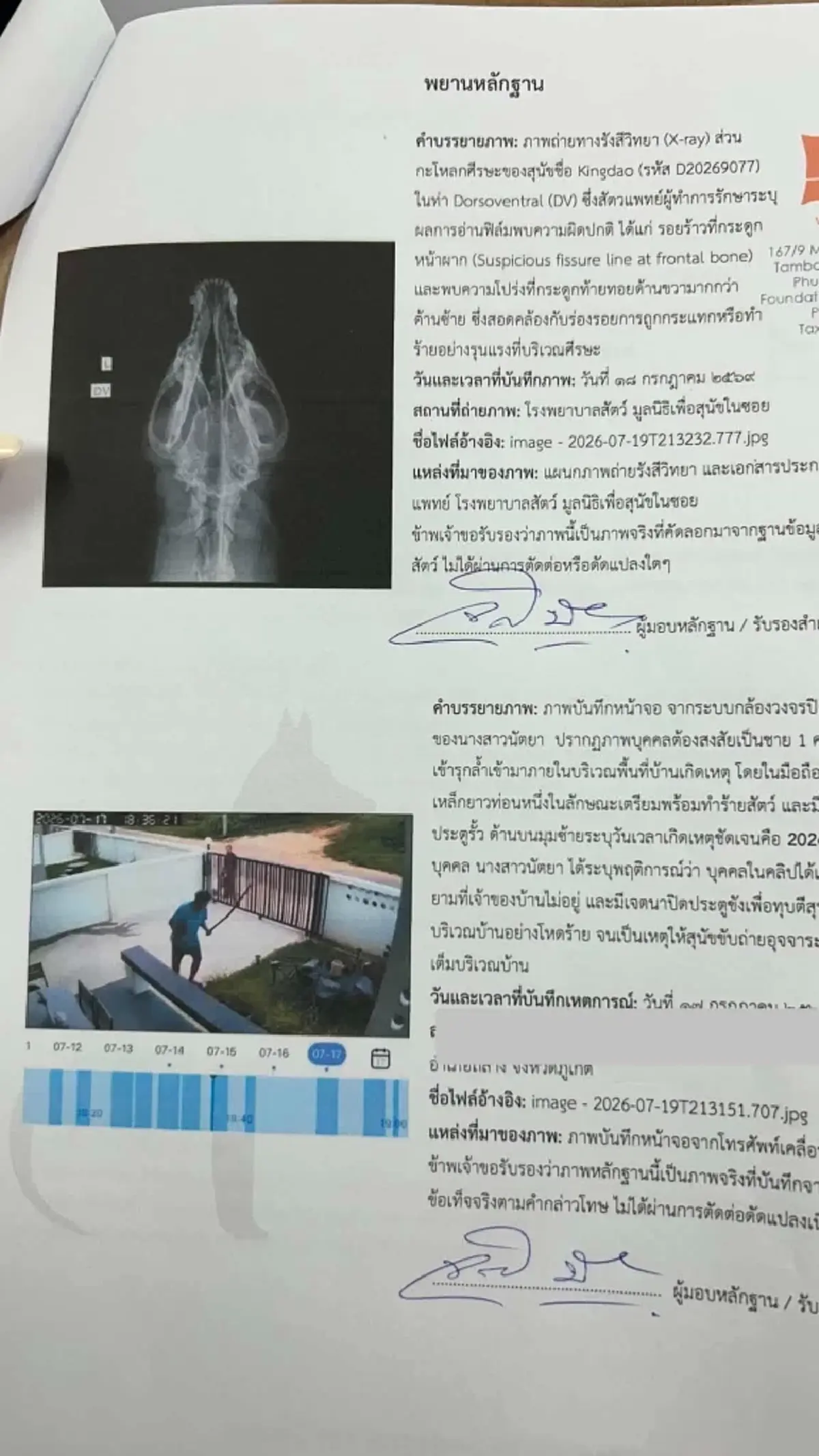 อัปเดต! อาการหมาจร ถูกคู่รักชายหญิงเปิดรั้วบุกบ้านทำร้าย