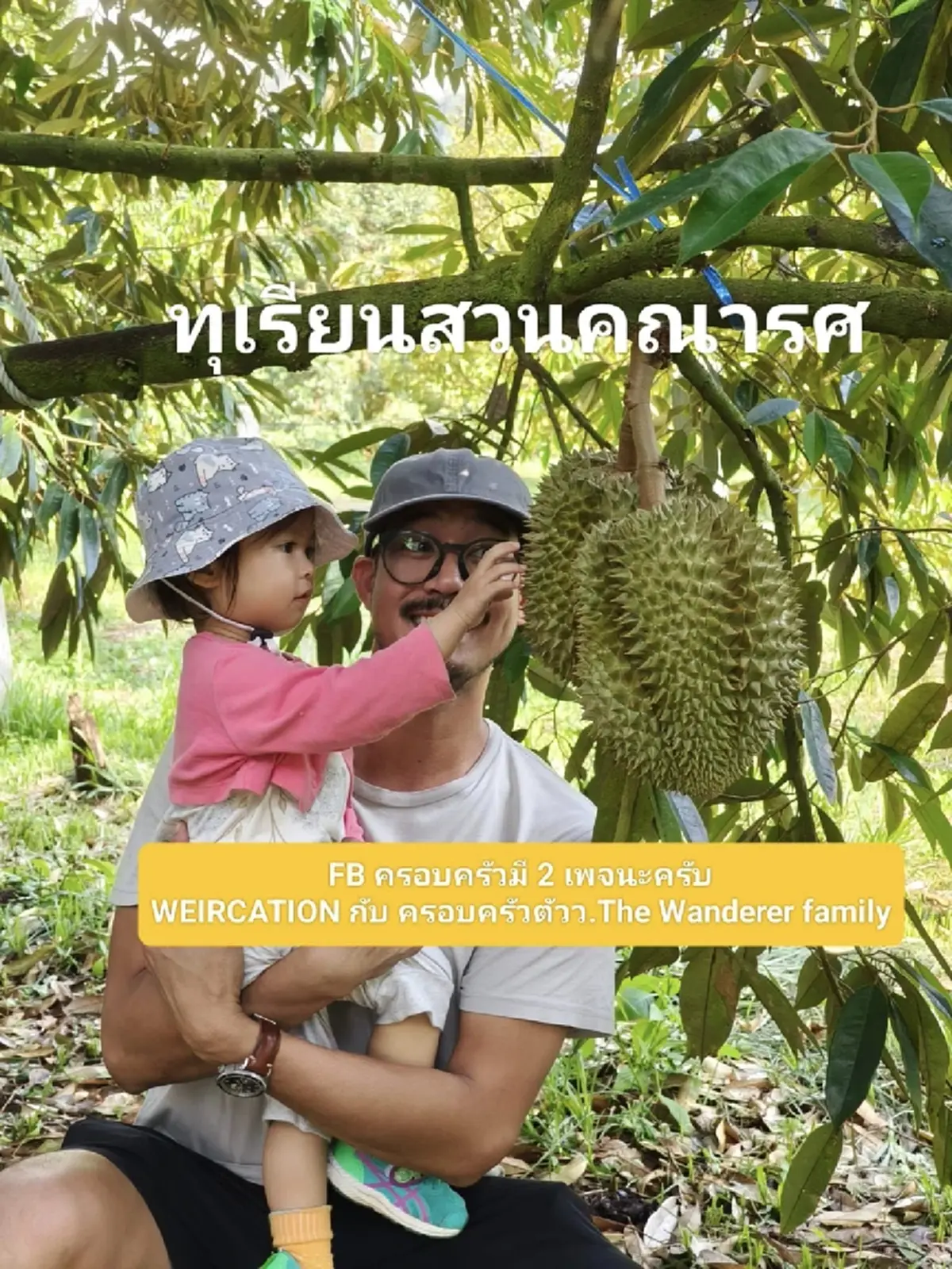 ดกจริงปีนี้! "เวียร์ ศุกลวัฒน์" อวดทุเรียนหมอนทองสวนคณารศ 