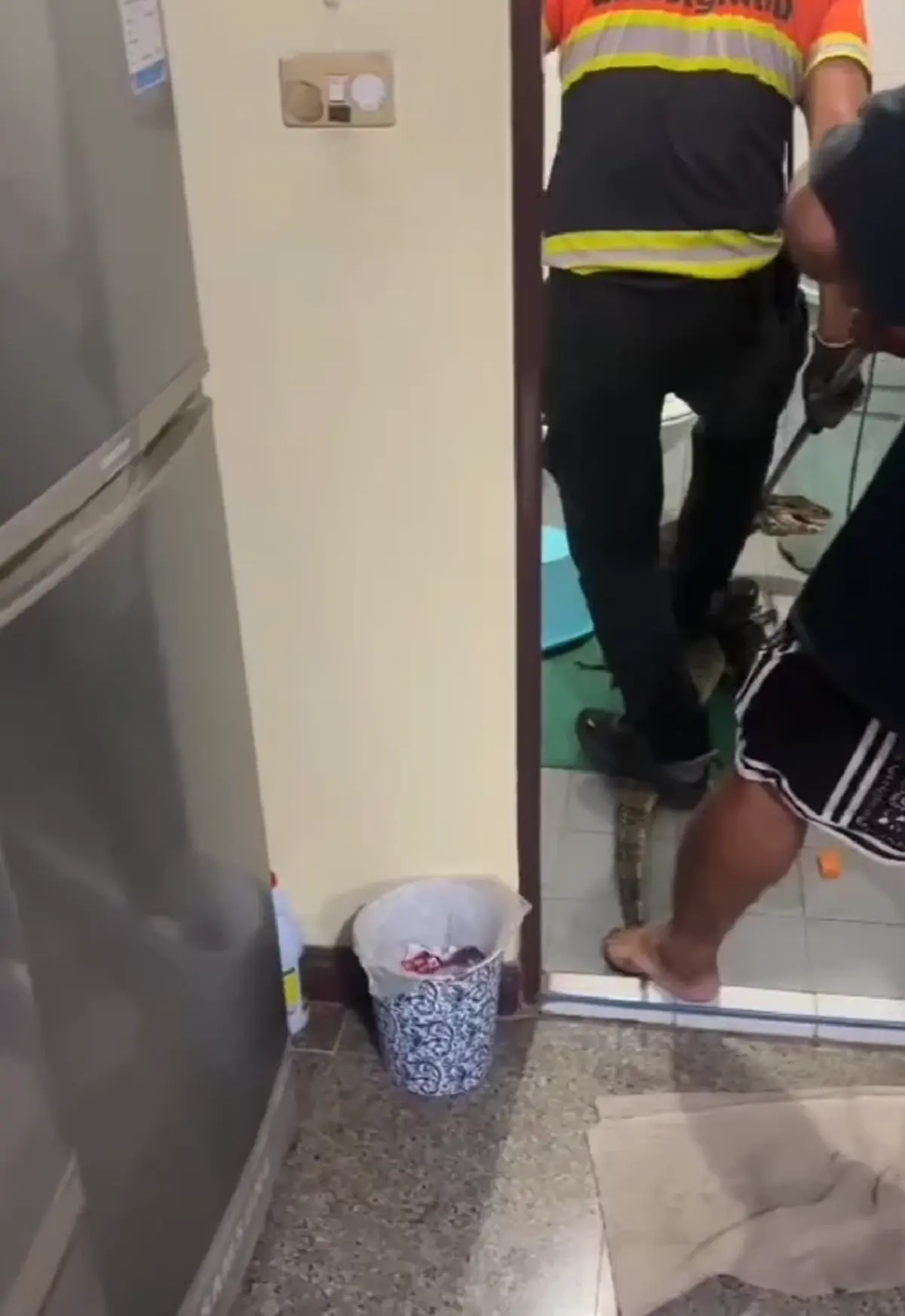 เจ้าของบ้านตกใจ ตัวเงินตัวทองยักษ์ บุกห้องน้ำ แห่ส่องเลขที่บ้าน