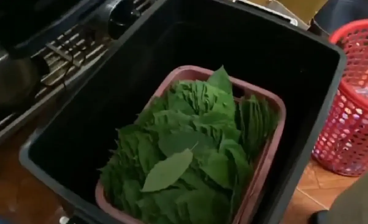 รายได้ทะลุหมื่นต่อวัน! บุกทลายร้านชำขายน้ำกระท่อม-ยาแก้ไอ