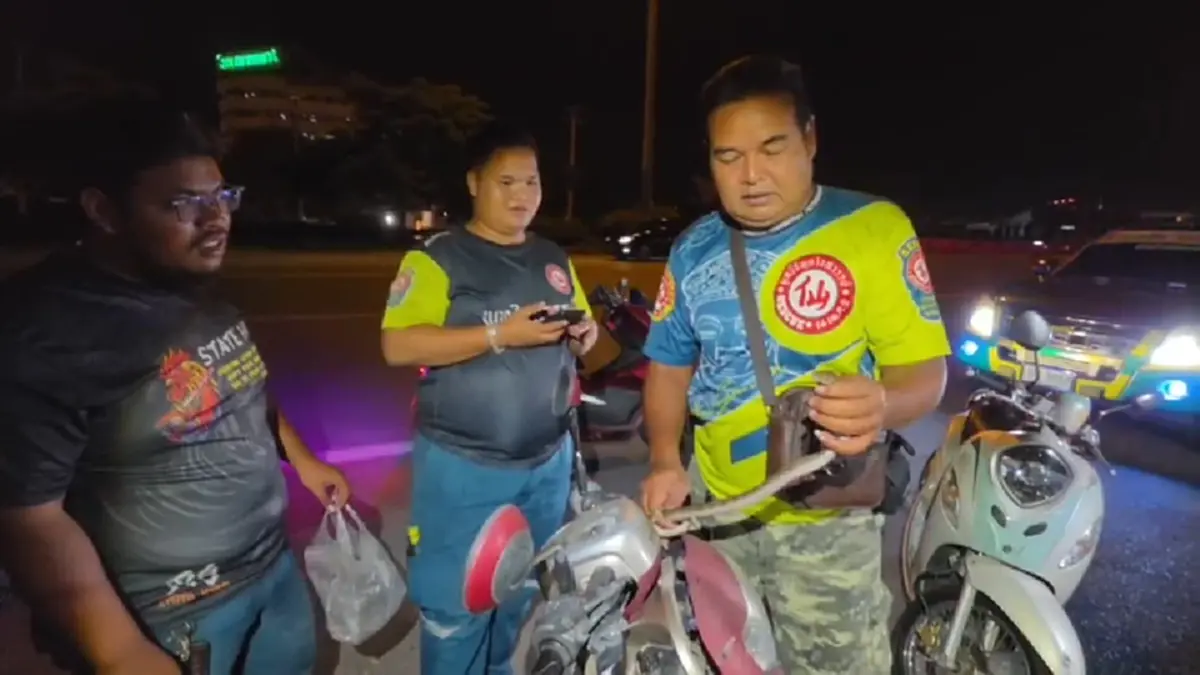 หนุ่มนักฟุตบอลผวา ลูกงูเหลือมซุกช่องหน้ารถ แห่ส่องเลขทะเบียนสวย