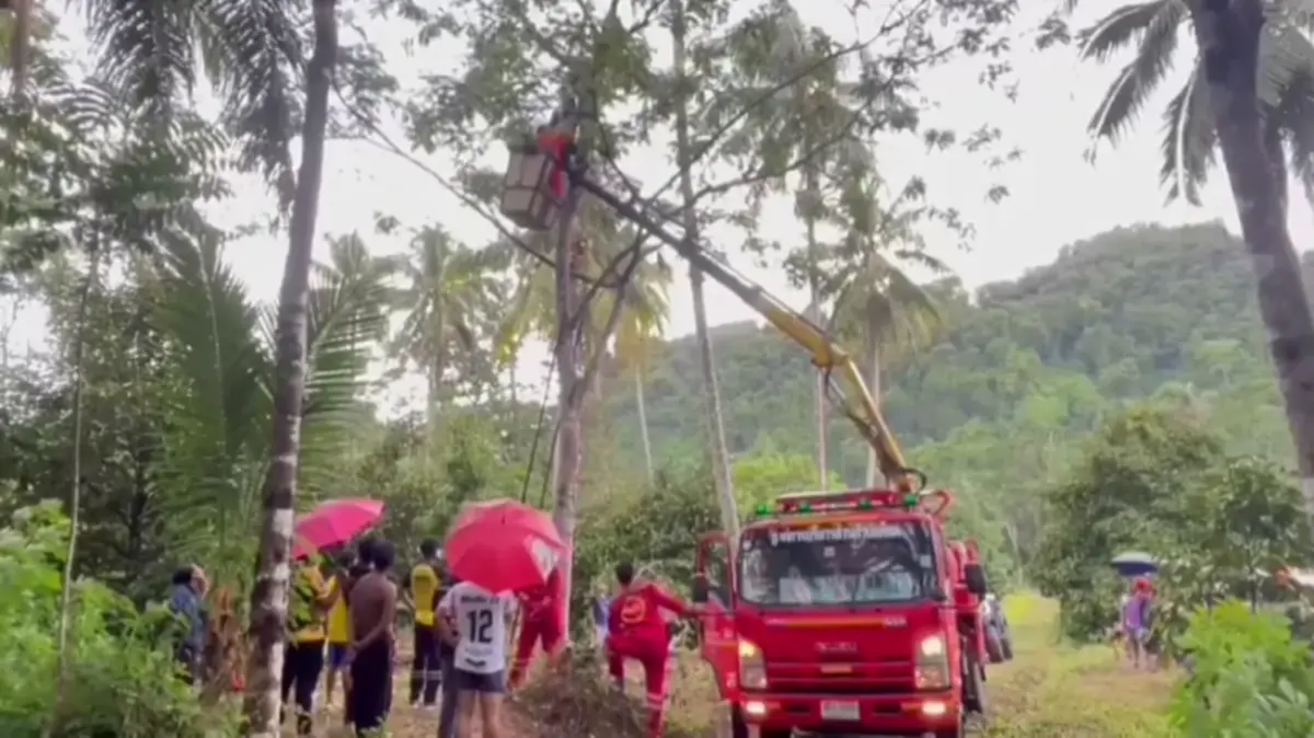 อุทาหรณ์ขึ้นต้นเก็บฝักสะตอ หน้ามืดเป็นลมอยู่บนต้นสูง 6 เมตร