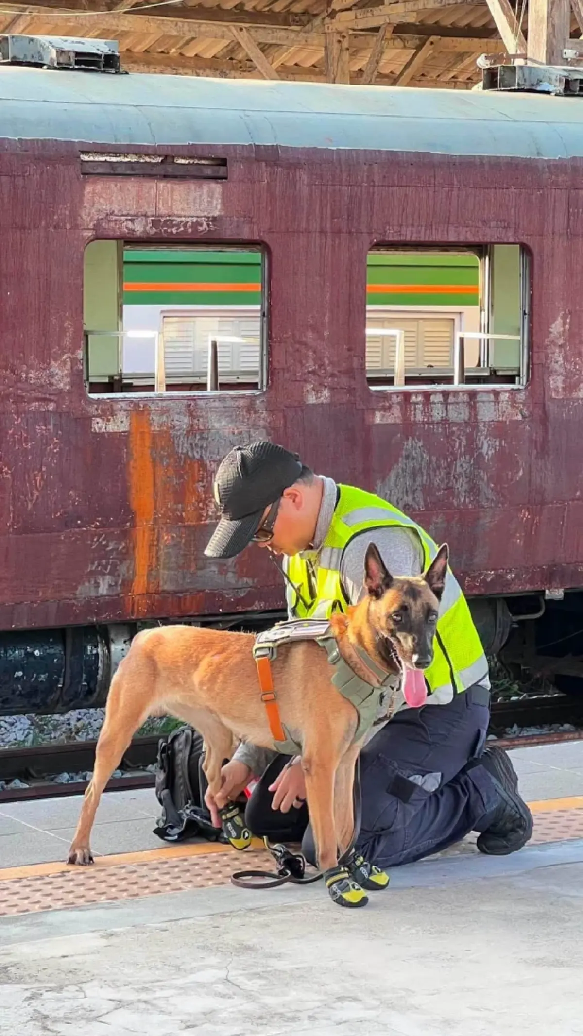 K9 แซนดี้ ยุติภารกิจค้นหา สีส้ม เผยเหตุผลชัด ทุ่มสุดกำลังแล้ว