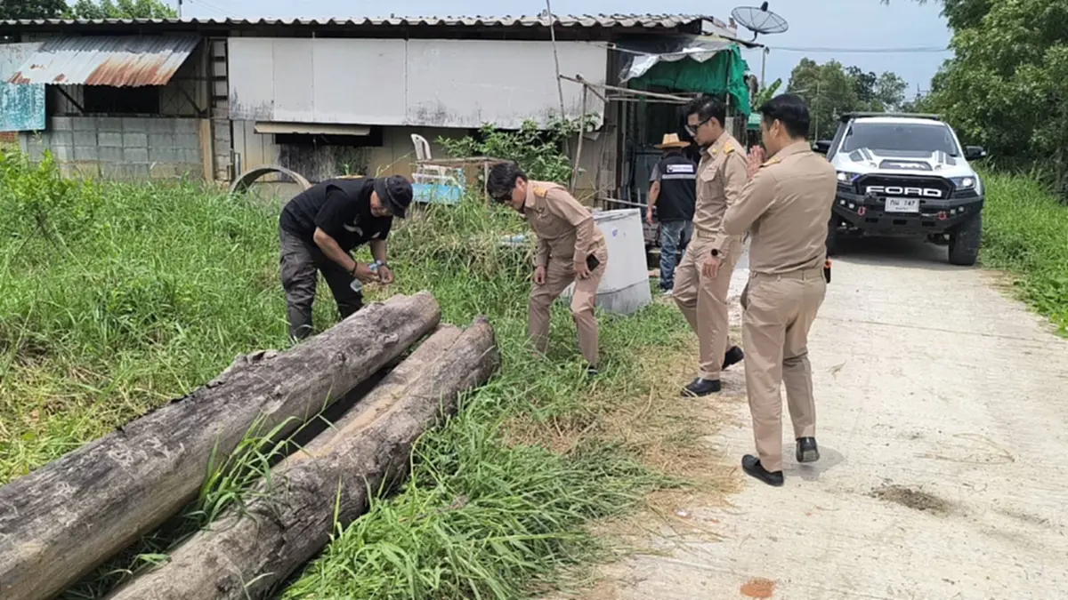 ผงะ! ขุดลอกคลองพิษณุโลกกลับเจอไม้สัก 12 ท่อน ซุกข้าม 30 ปี