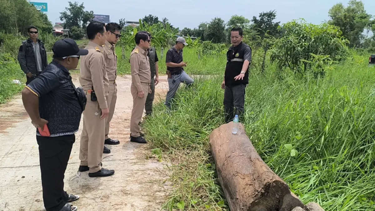 ผงะ! ขุดลอกคลองพิษณุโลกกลับเจอไม้สัก 12 ท่อน ซุกข้าม 30 ปี
