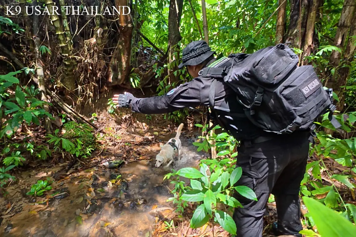 ที่มา/ภาพ Facebook : K9 USAR THAILAND