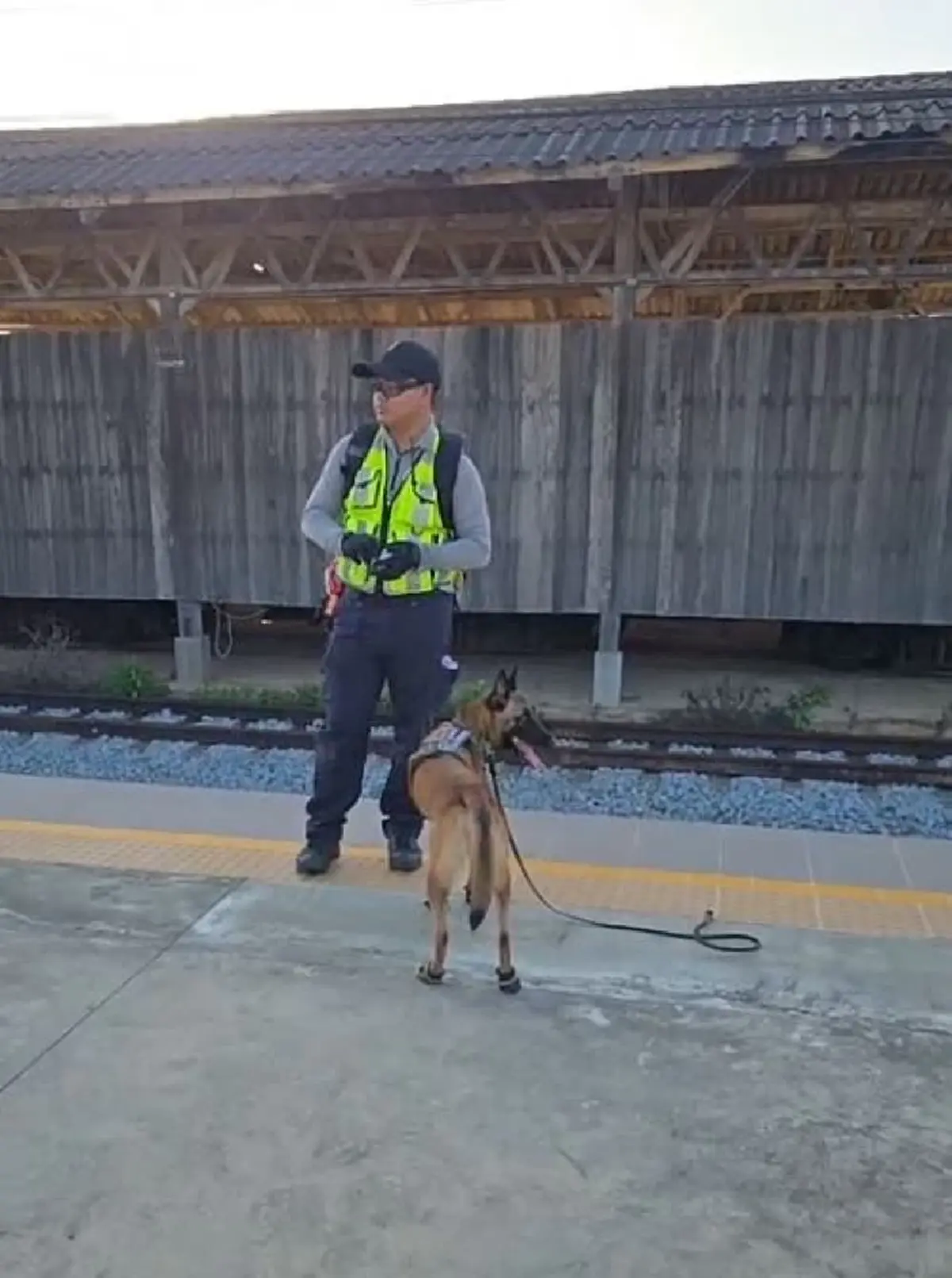 เปิดตัว K9 แซนดี้ ฮีโร่นำความหวัง เริ่มภารกิจตามหาน้อง สีส้ม