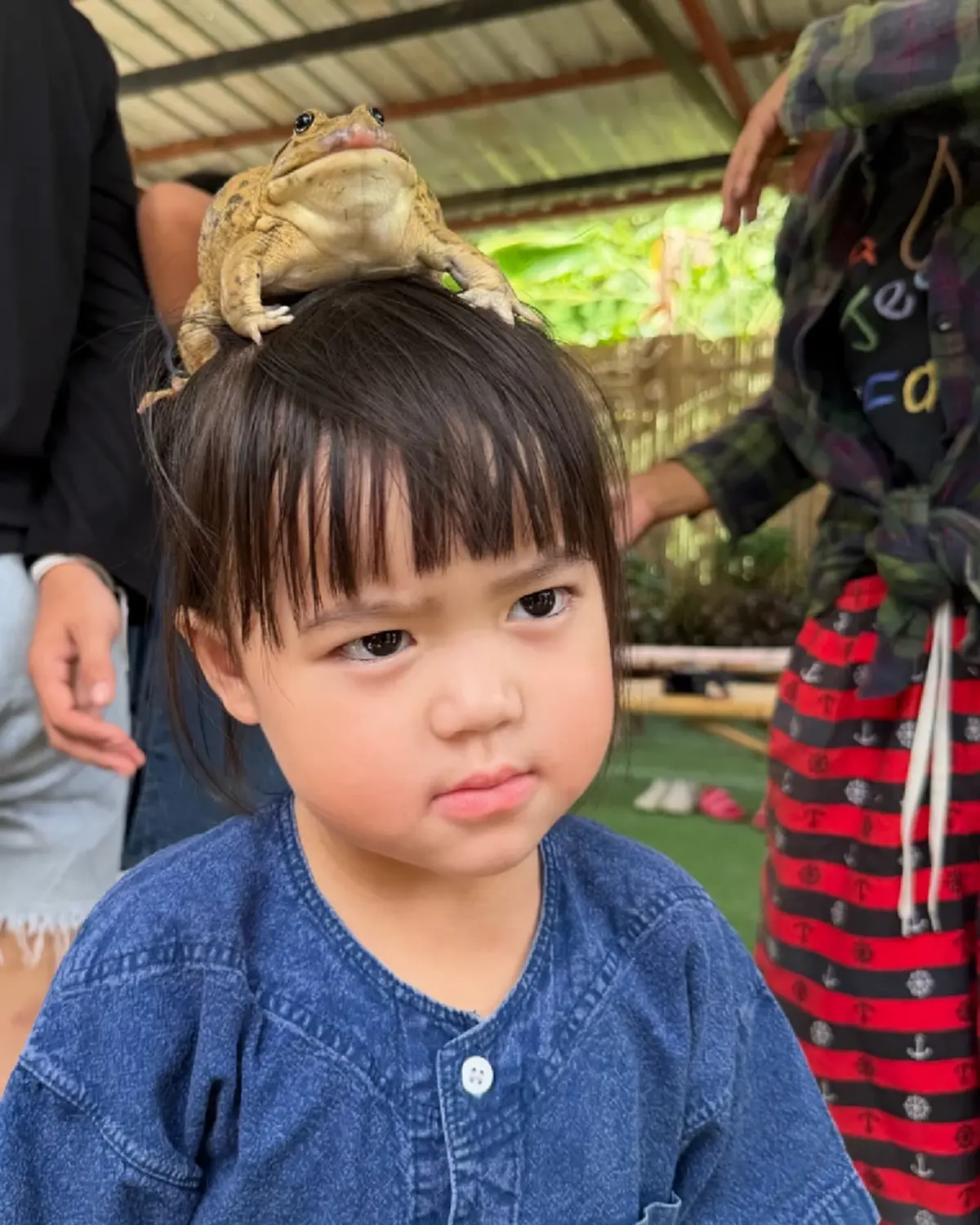 "น้องเอลิเซีย" ลูกสาว "แพทริเซีย-โน้ต"  ลุยโคลนไร้ลุคคุณหนู