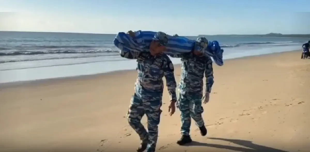 เศร้าอีก! พบซากโลมาลอยเกยชายหาดเกาะคอเขา เร่งชันสูตรหาคำตอบ