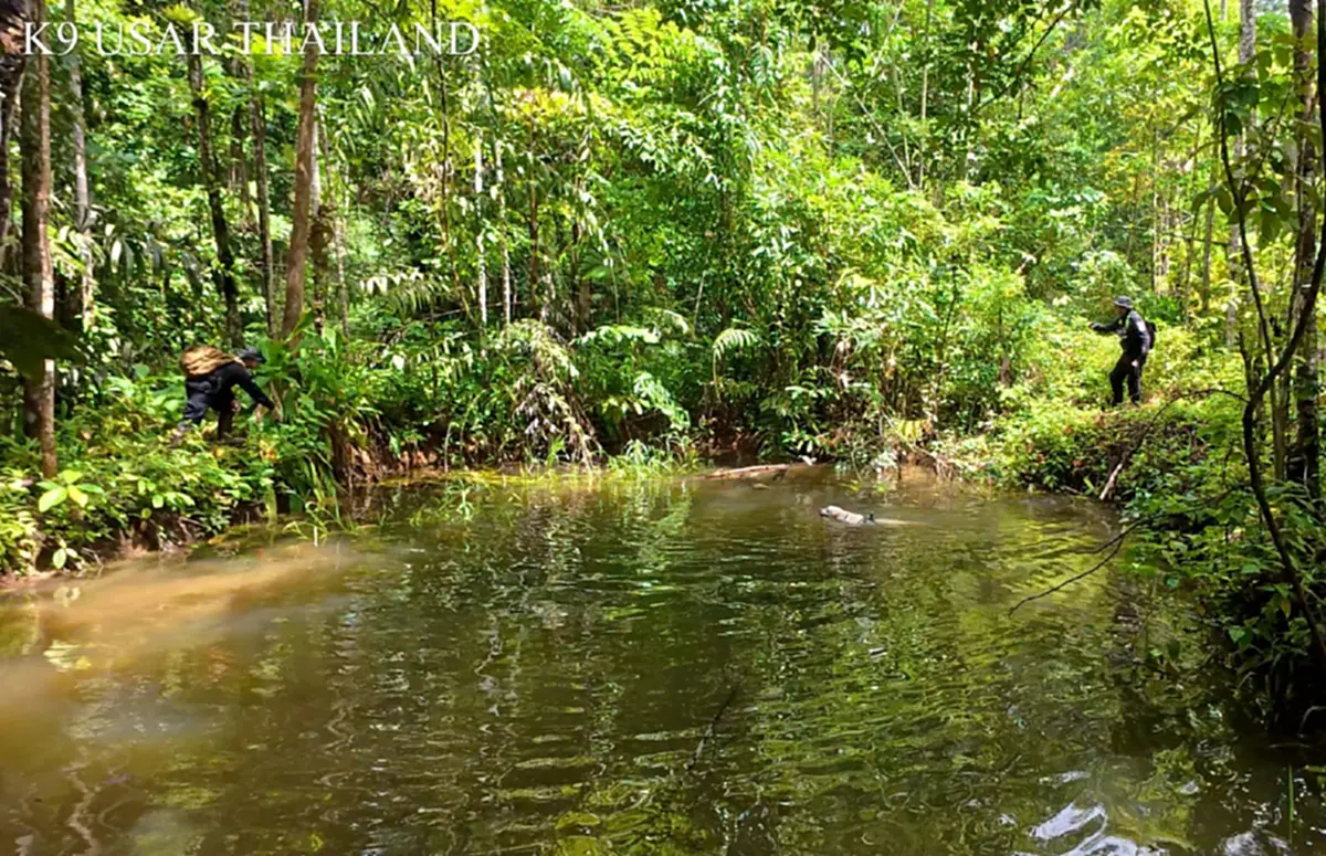 ที่มา/ภาพ Facebook : K9 USAR THAILAND