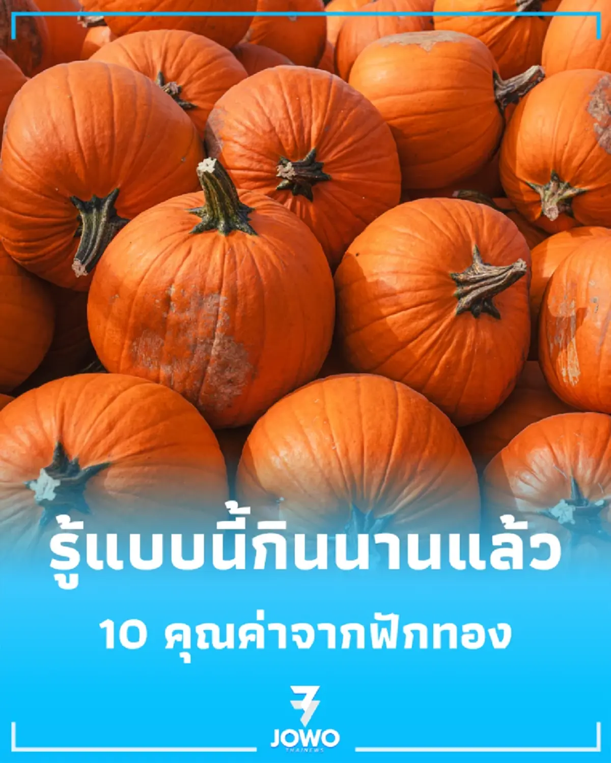 10 ประโยชน์ของฟักทอง อัดแน่นคุณค่ารอบด้านจนคุณต้องรีบไปหาซื้อมากิน
