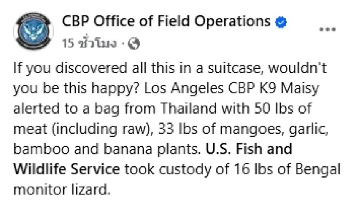 K9 สหรัฐฯ  โชว์ผลงาน  ตรวจกระเป๋าบินตรงจากไทย ยึดของล็อตใหญ่