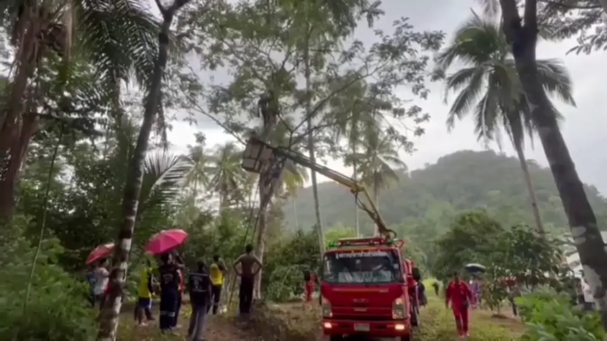 อุทาหรณ์ขึ้นต้นเก็บฝักสะตอ หน้ามืดเป็นลมอยู่บนต้นสูง 6 เมตร