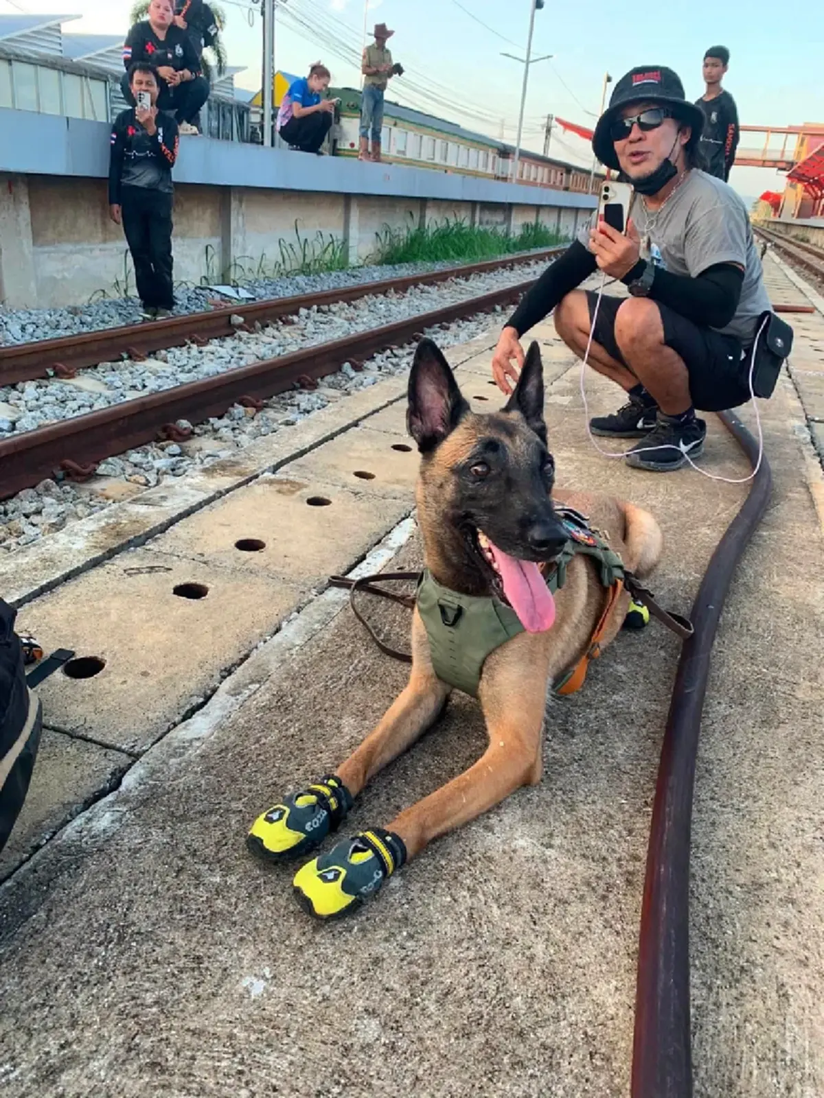 K9 แซนดี้ ยุติภารกิจค้นหา สีส้ม เผยเหตุผลชัด ทุ่มสุดกำลังแล้ว