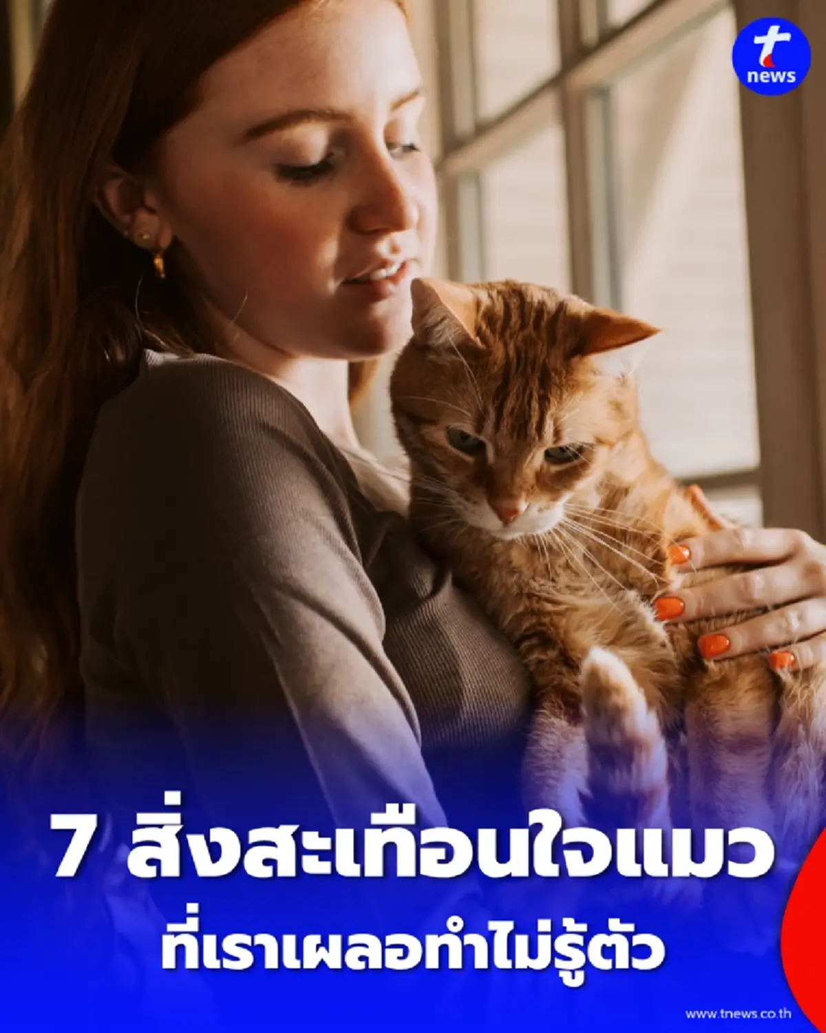 เปิด 7 สิ่งสะเทือนใจแมว ที่เจ้าของมักทำไปเพราะคิดว่าไม่มีอะไร