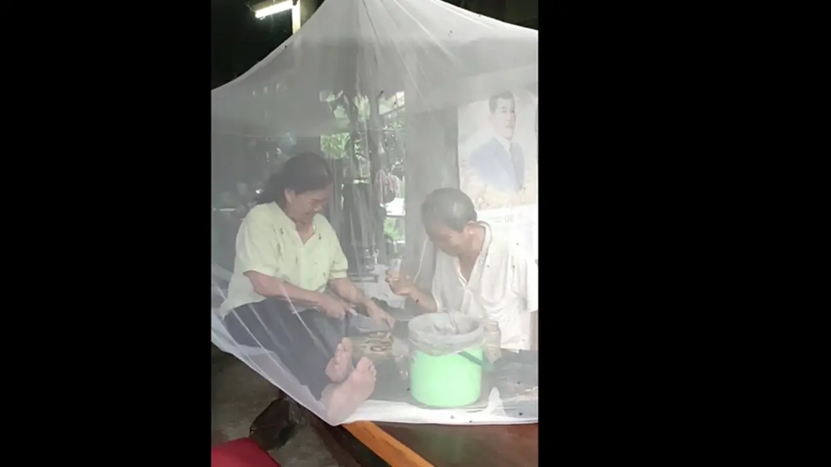 เดือดร้อนหนัก! กองทัพแมลงวันบุกยึดพะเยา ต้องกางมุ้งกินข้าว