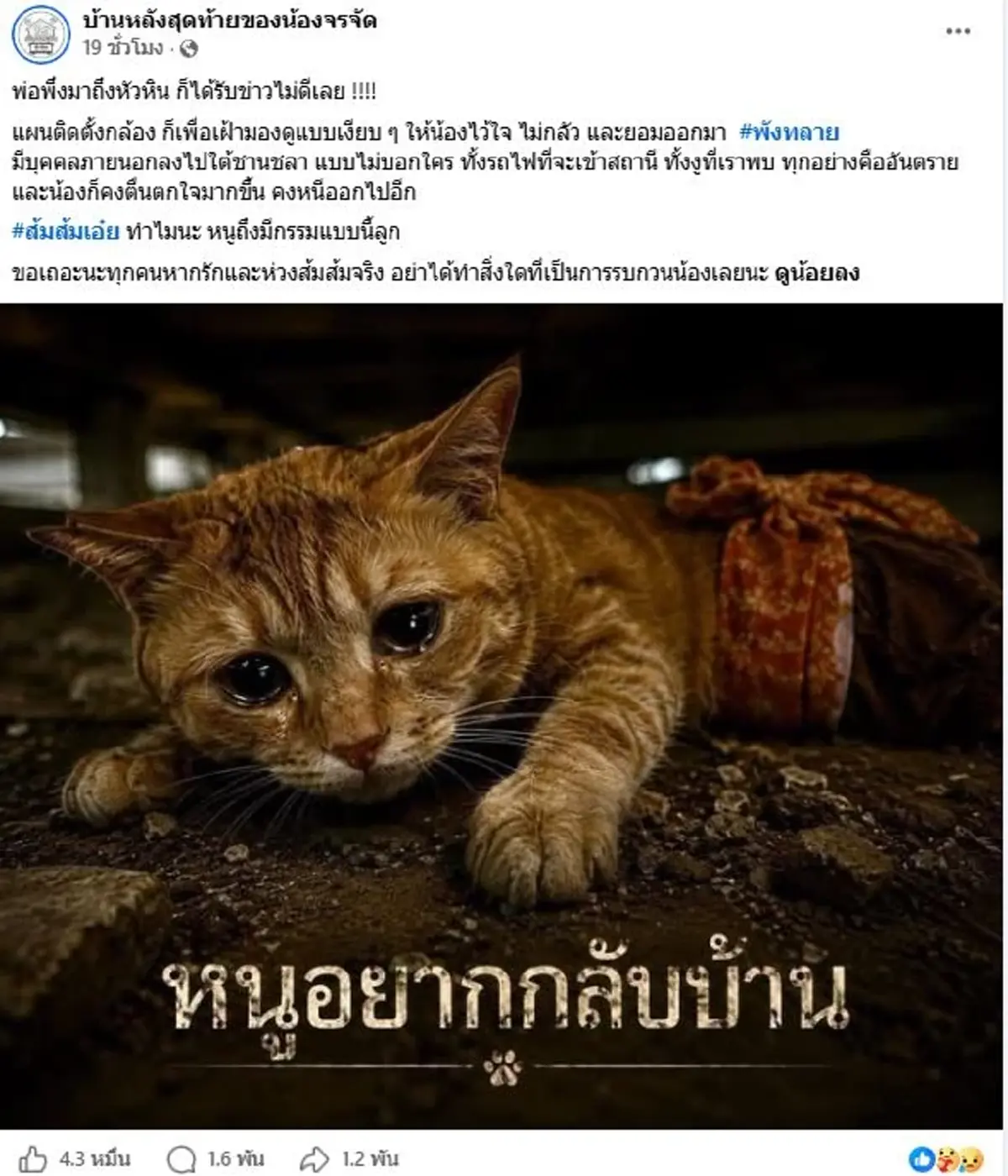 แผนค้นหา สีส้ม พังทลาย มีคนแปลกหน้ามุดใต้ชานชาลาเอง