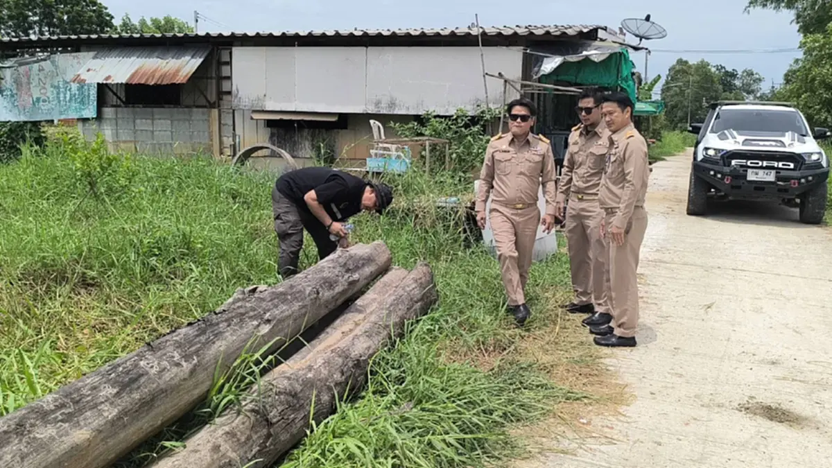 ผงะ! ขุดลอกคลองพิษณุโลกกลับเจอไม้สัก 12 ท่อน ซุกข้าม 30 ปี