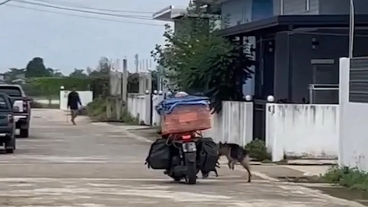 ไรเดอร์สุดทน! โดนหมาดุไล่กัดซ้ำรอบ 2 อัดคลิปประจาน เจ้าของเมิน