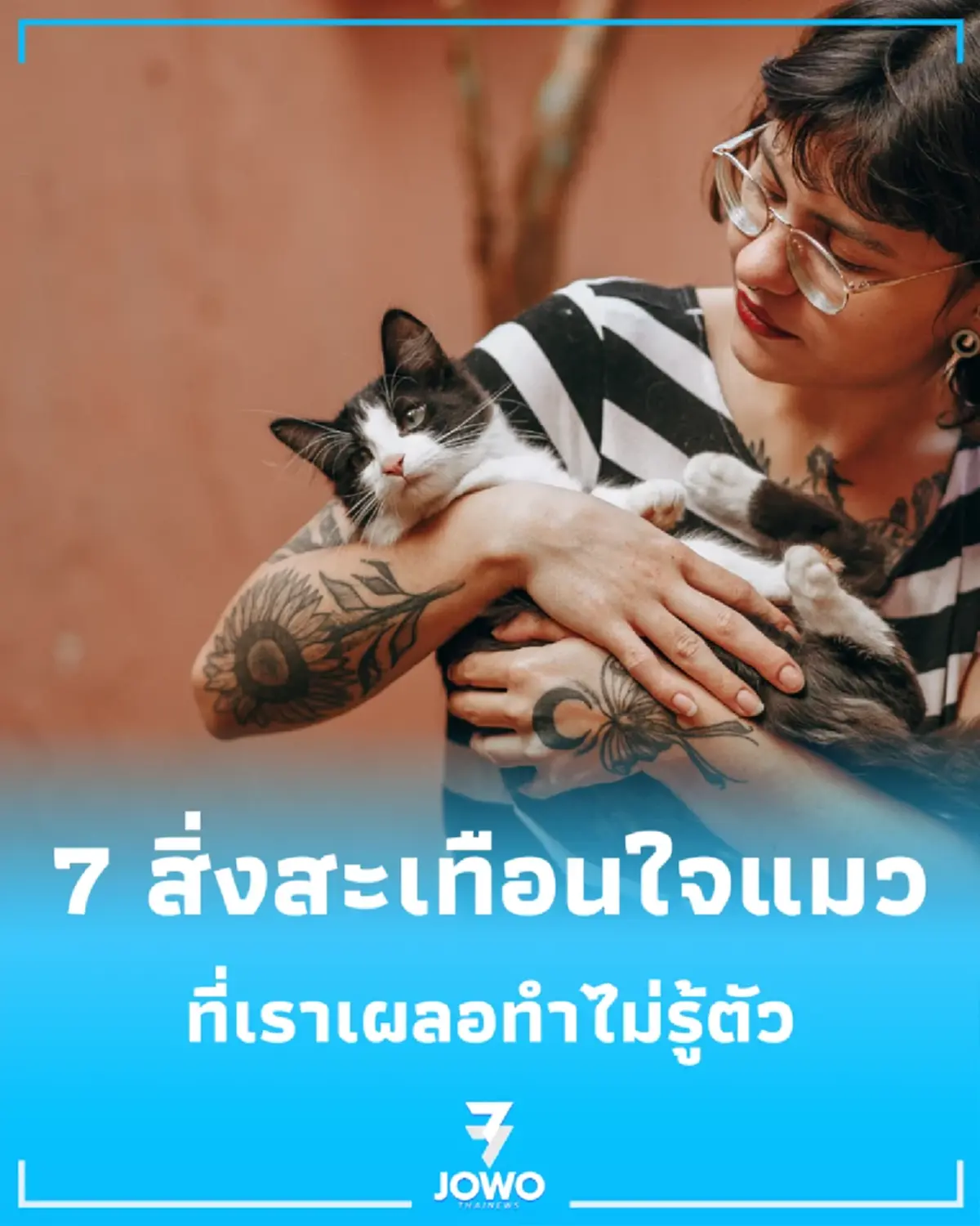 เปิด 7 สิ่งสะเทือนใจแมว ที่เจ้าของมักทำไปเพราะคิดว่าไม่มีอะไร