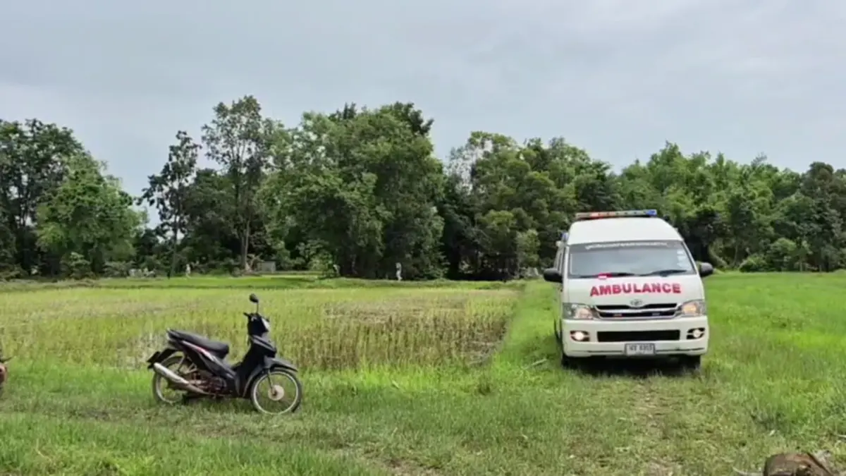 สลดกลางทุ่งนา! ชายวัย 63 ถอนกล้าดำนาวูบคว่ำหน้าจมน้ำเสียชีวิต