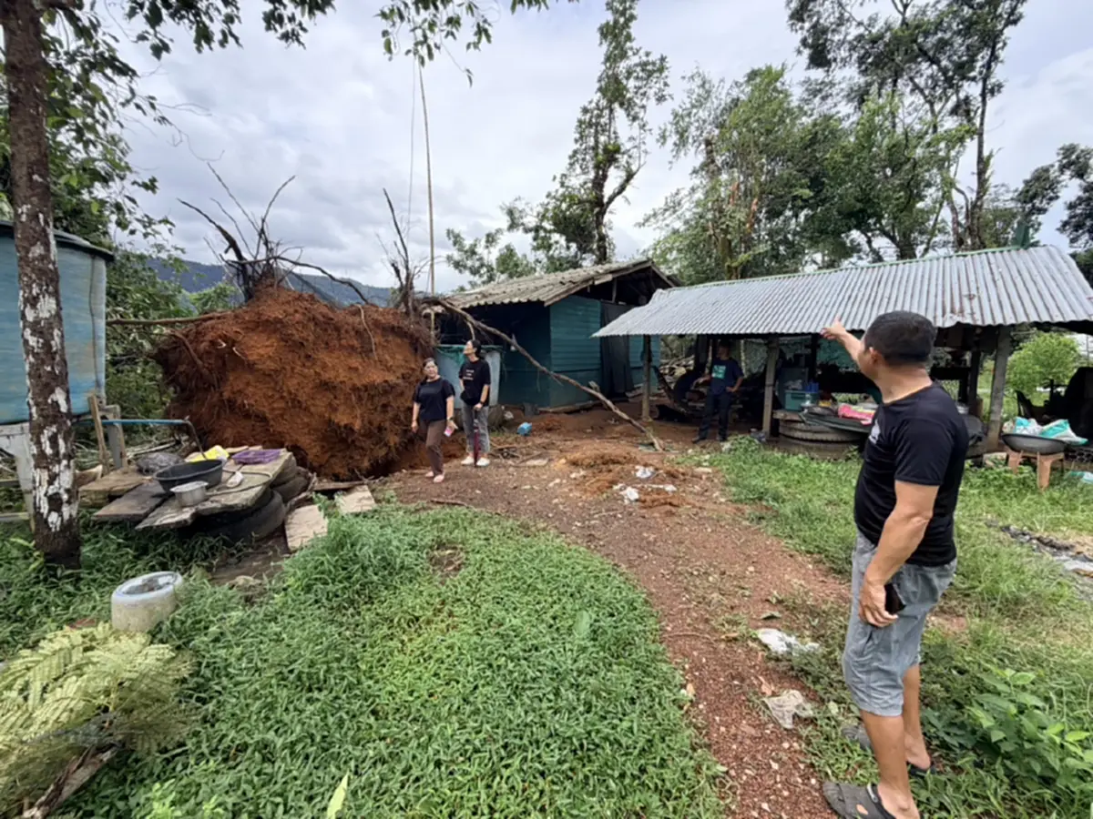 พายุถล่มตราด! ต้นไม้โค่นทับฐาน ตชด.พังยับ จนท.ปลอดภัย