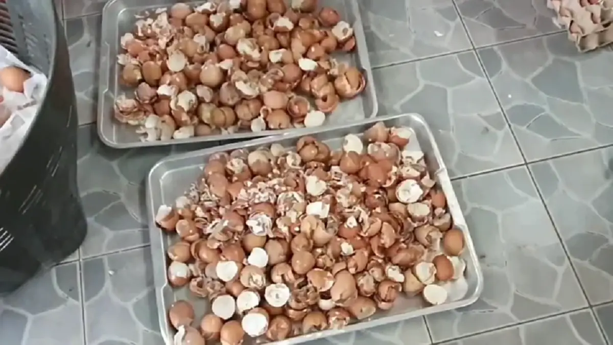 สุขใจทั้งวัด! ชาวบ้านหอบเปลือกไข่ต่อคิวแลกไข่ เซฟเงิน ลดขยะ