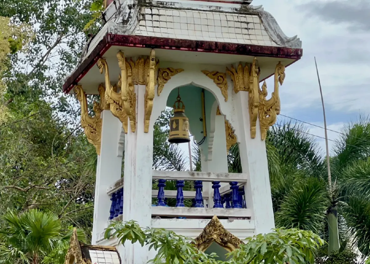 พระให้อาหารเช้าตามปกติ สิ่งที่พบใต้หอระฆัง ทำทั้งวัดสะเทือนใจ