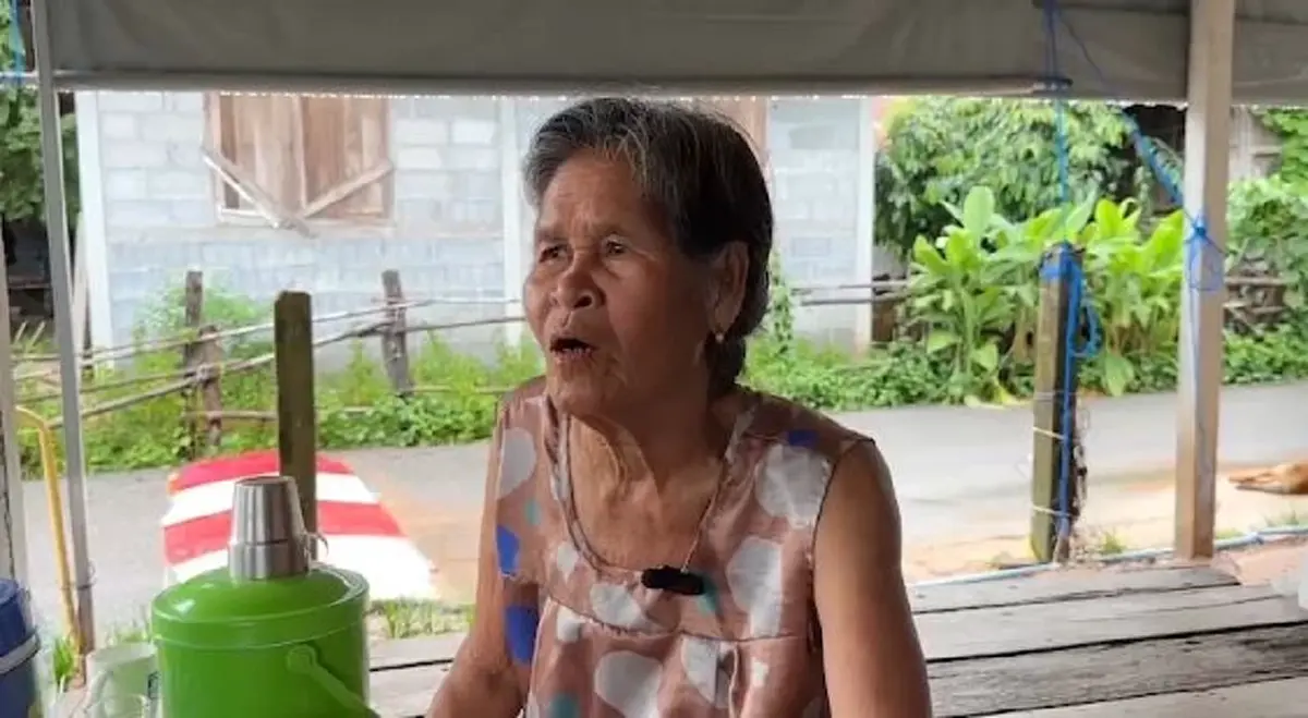 พี่ชายเผยอาการ "คุณย่าฮลุน" ล่าสุด ทำชาวเน็ตอดเป็นห่วงไม่ได้ 