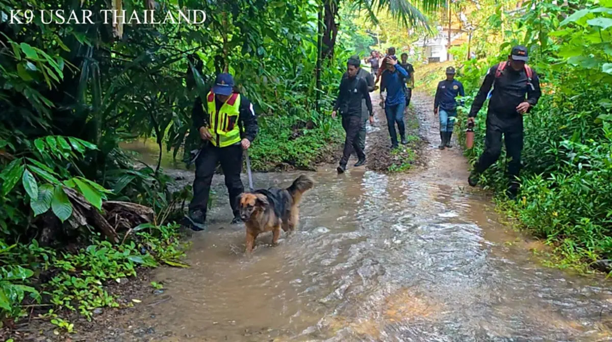 ที่มา/ภาพ Facebook : K9 USAR THAILAND